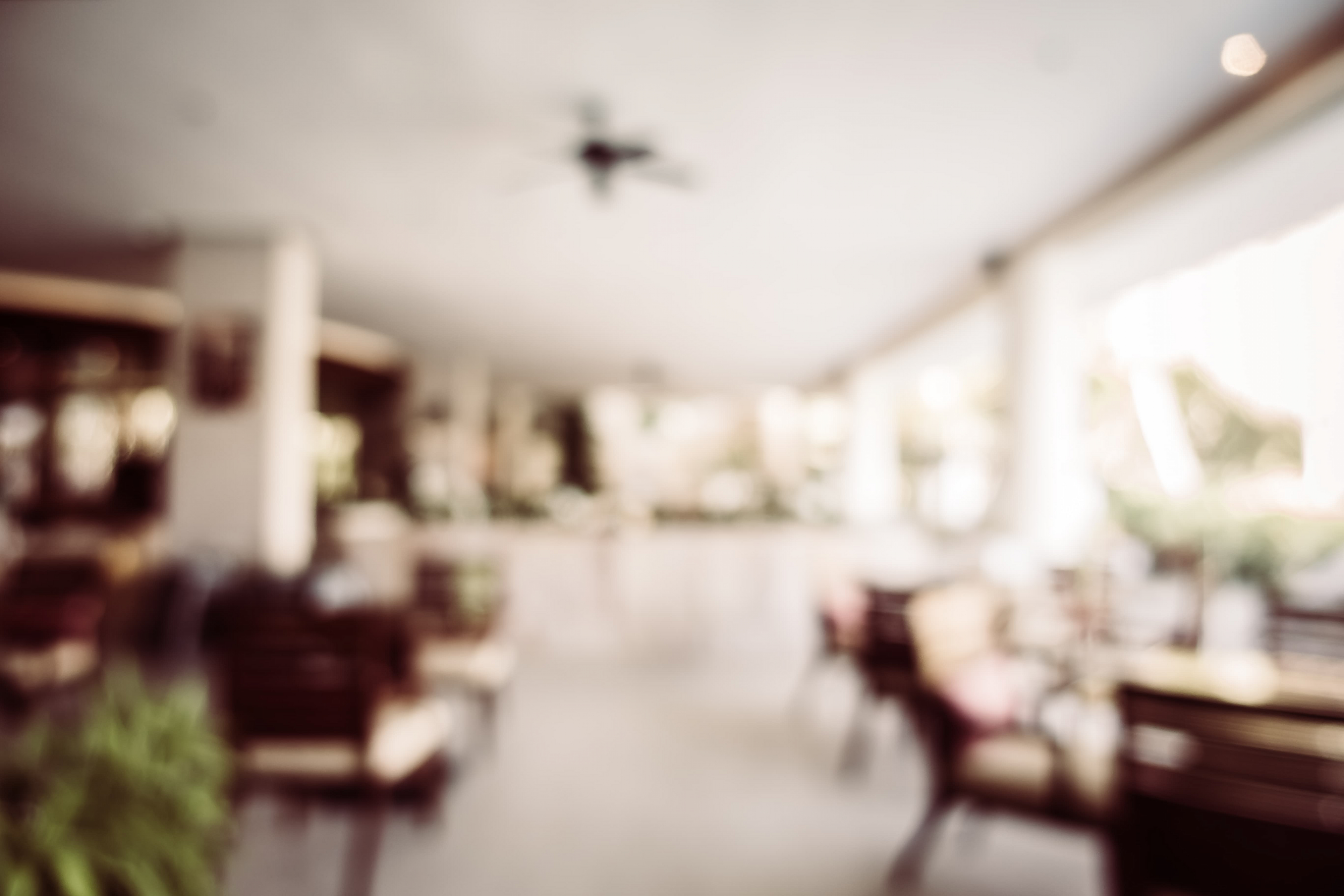 Terra Verde Pizzéria Banner